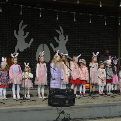 Saulainie pavasara saulgrieži