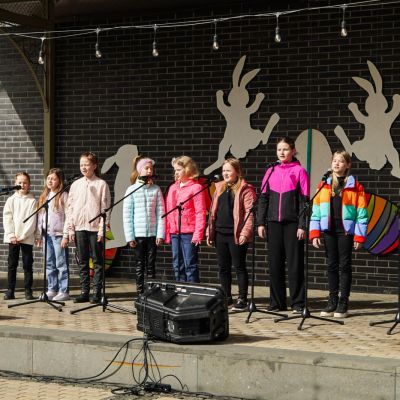 Saulainie pavasara saulgrieži