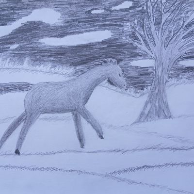 Ziemas izstādes darbi