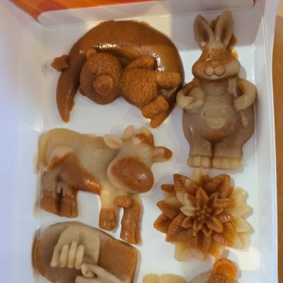  Jēkabpils novada Bērnu un jauniešu centra izglītojošā ekskursija uz Skrīveriem