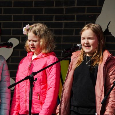 Saulainie pavasara saulgrieži