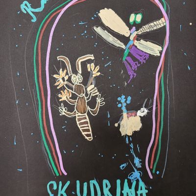 Konkurss 