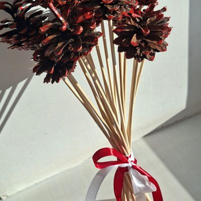 Sadraudzības koncerts struktūrvienībā Aknīstē