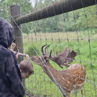 Vasaras radošā darbnīca “Brīvdienas ir manas laimīgās dienas”