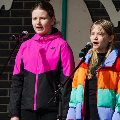 Saulainie pavasara saulgrieži