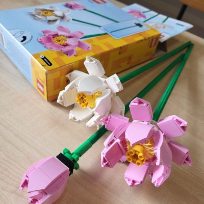 Rudens meistarklases-2. diena