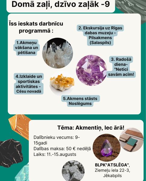 Radošās darbnīcas “Domā zaļi, dzīvo zaļāk-9”. Šī gada tēma ” Akmentiņ, lec ārā”.