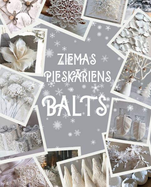 Ziemas pieskāriens