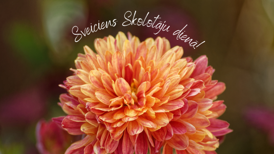 Sveiciens Skolotāju dienā!