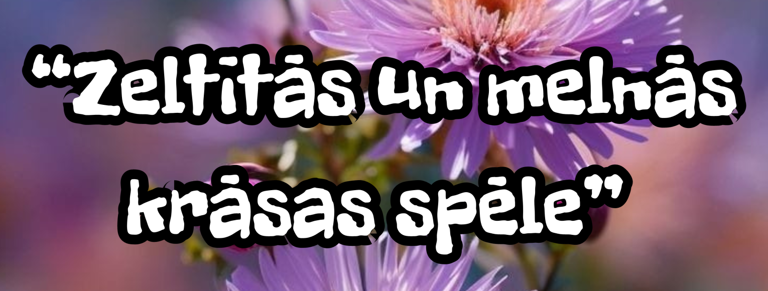 Floristikas pulciņa izstāde “Zeltītās un melnās krāsas spēle” 