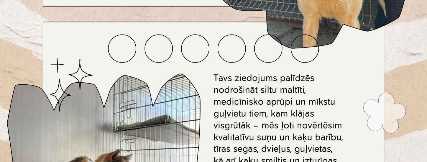 Labdarības akcija 